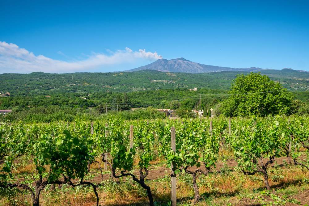 Mount Etna Volcano Sicily, Italy